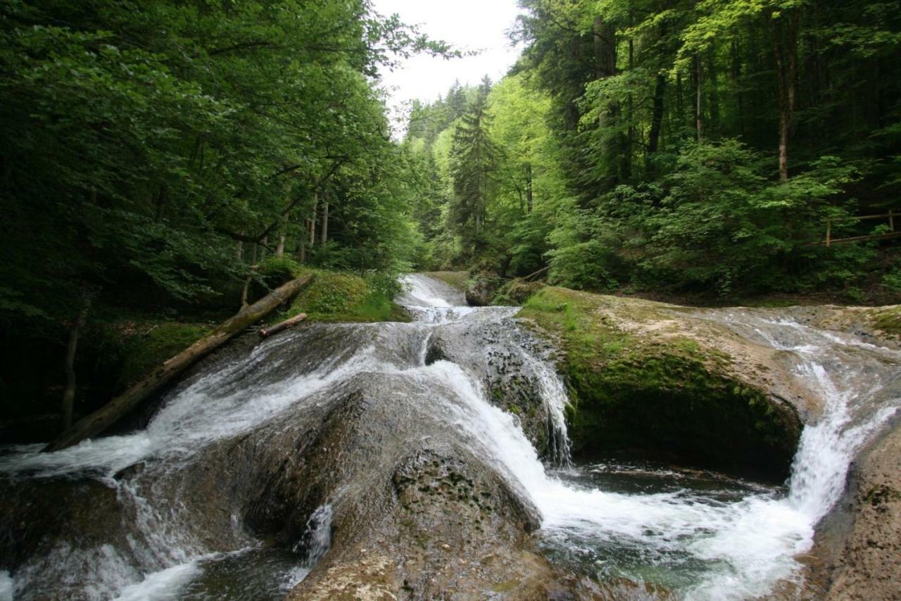 Allgaeu Haus 이스니임알가우 외부 사진
